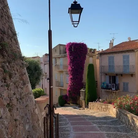 Apartment C039-appartement Lumineux Au Suquet Pour 3 Personnes Cannes